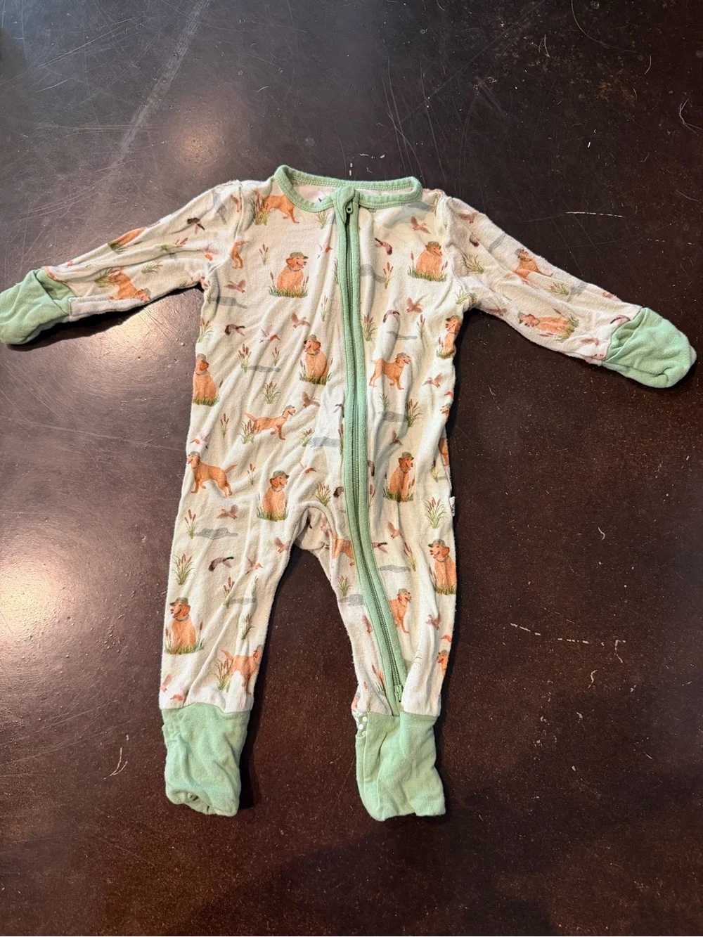 Bamboo One-Piece Footed Pajamas in Light Green with Dog Print